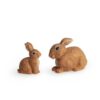 Kaniner - Haremor med unge