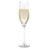 Cabernet champagneglas